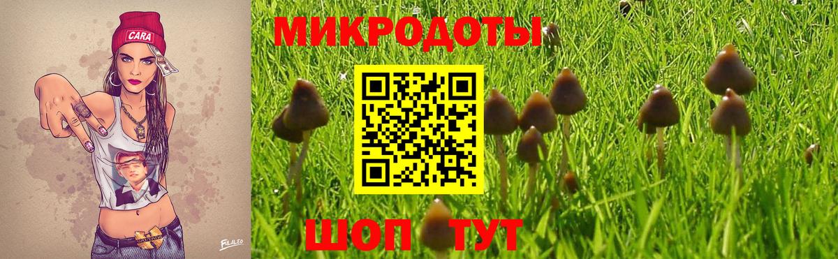Псилоцибиновые грибы Psilocybine cubensis  Вход с VPN  Ишимбай  Галлюциногенные грибы прущие грибы 